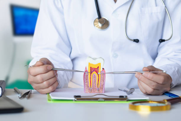 Best Emergency Treatment for Toothache in Warm Springs, OR
